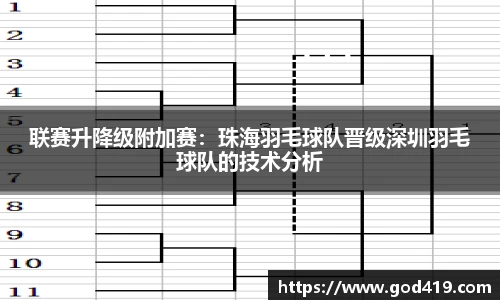 联赛升降级附加赛：珠海羽毛球队晋级深圳羽毛球队的技术分析