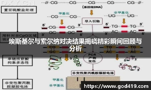 埃斯基尔与索尔纳对决结果揭晓精彩瞬间回顾与分析
